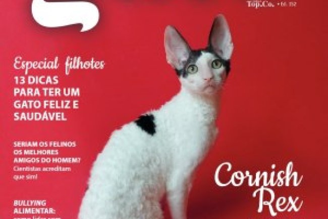 Pulo do Gato - Mar/Abr 2023