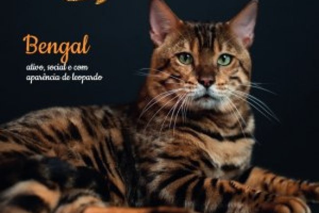 Pulo do Gato - Mai/Jun 2023