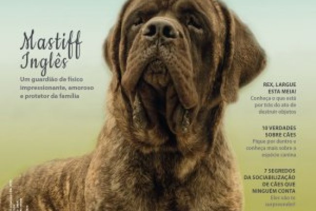 Cães & Cia - Mai/Jun 2023