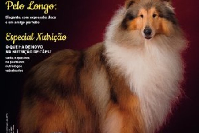 Cães & Cia - Jul/Ago 2023