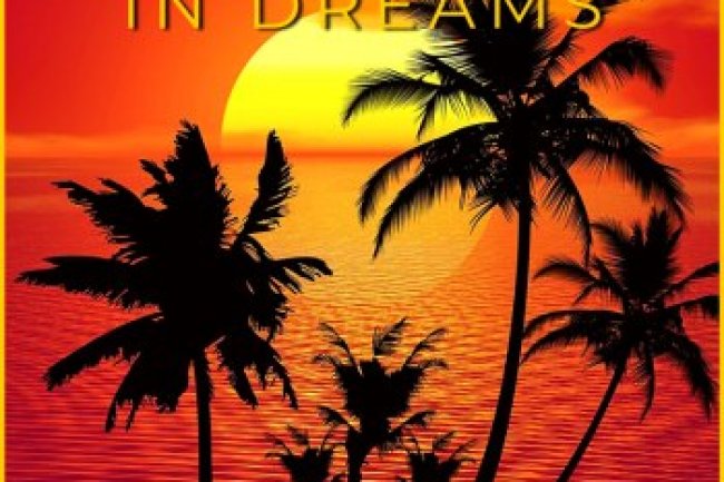 At Waves In Dreams Vol. 2 (2023)