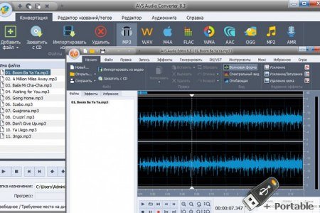 AVS Audio Software v10.4.2.21 + Portable