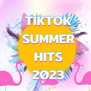 TikTok Summer Hits 2023 (2023)