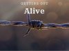 Getting Out Alive