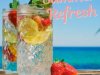 Summer Refresh (2023)