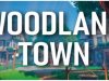 Woodland Town