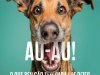 Superinteressante Ed 364 - Agosto 2016