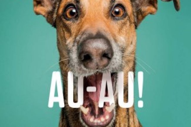 Superinteressante Ed 364 - Agosto 2016