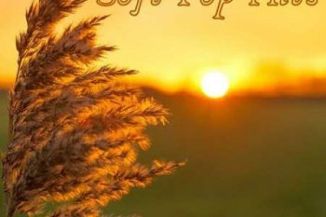 Soft Pop Hits - Fall (2023)