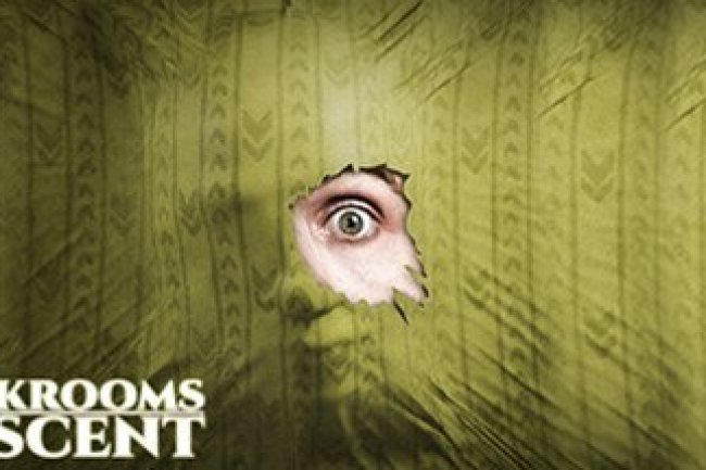 Backrooms Descent: Horror Game