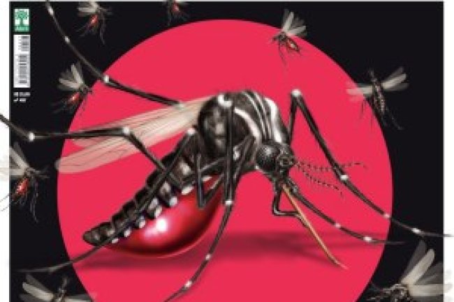 Veja Saúde Ed 497 - Novembro 2023