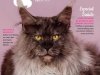 Pulo do Gato - Out/Nov 2023