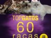 Pulo do Gato - Dez 2023/Jan 2024