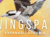 Wingspan: Expansão Oceania