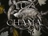 Uma Luz na Chama (Vol. 2 Carne e Fogo) - Jennifer L. Armentrout
