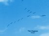 The Virgance - Flying V (2020)