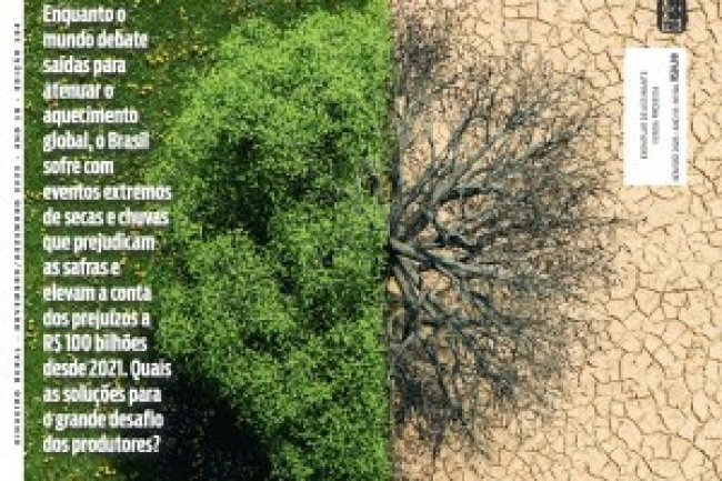 Dinheiro Rural Ed 194 - Novembro / Dezembro 2023