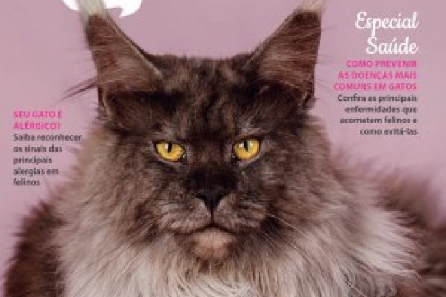 Pulo do Gato - Out/Nov 2023