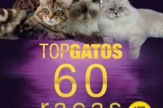 Pulo do Gato - Dez 2023/Jan 2024