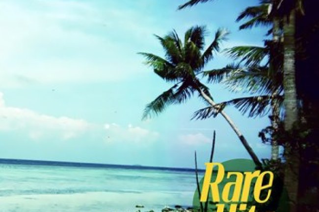 Rare Hits - Vol. 1 (2023)