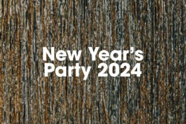 New Year's Party 2024 (2023)