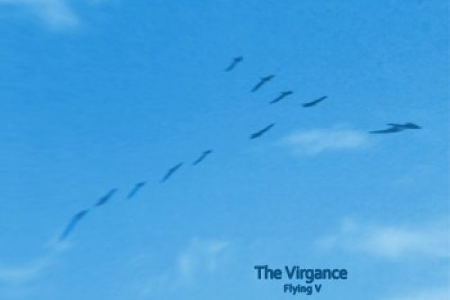 The Virgance - Flying V (2020)