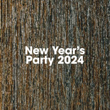 New Year's Party 2024 (2023)
