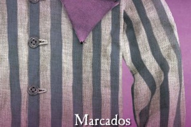 Marcados Pelo Triângulo Rosa - Ken Setterington