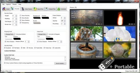 GDS Video Thumbnailer v7.0.4 + Portable