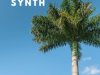 CARLIGHTS - Emperor Synth (2024)