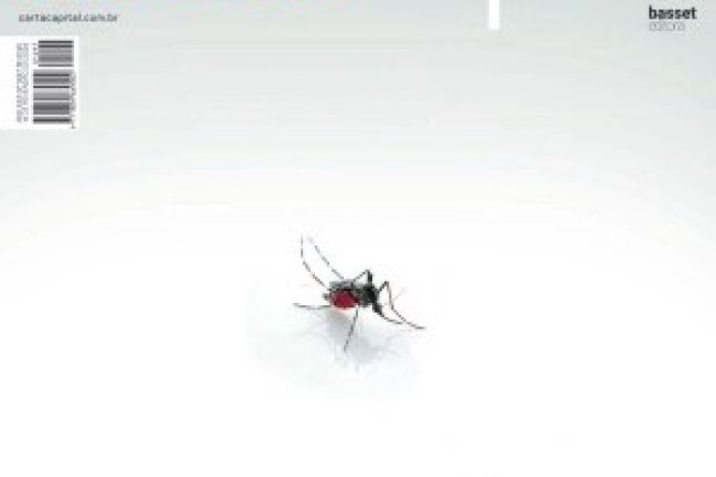 Carta Capital Ed 1297 - Fevereiro 2024