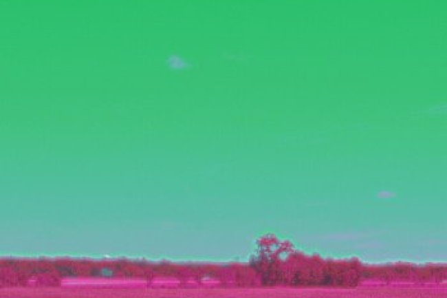 Zane Alexander - A Time Like This (2017)