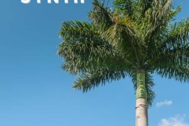 CARLIGHTS - Emperor Synth (2024)