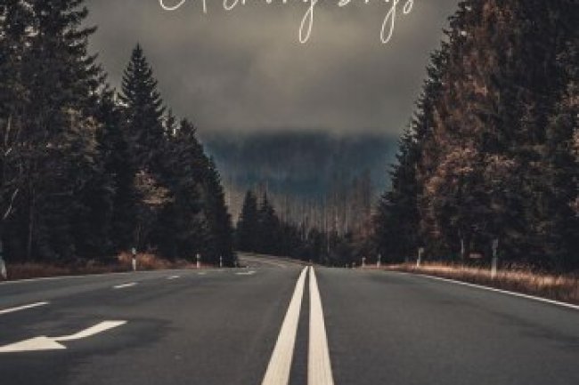 Cool Driving Songs (2024)