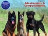 Cães & Cia - Fev/Mar 2024