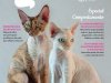 Pulo do Gato - Fev/Mar 2024