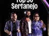 Top 50 Sertanejo (2024)