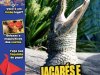 Recreio Edição 1111 - Fevereiro 2024 (PDF)