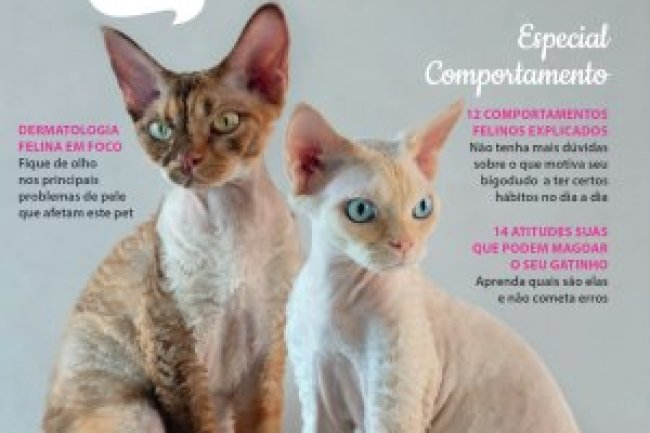 Pulo do Gato - Fev/Mar 2024