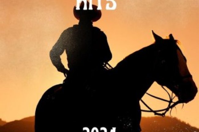 Country Chart Hits (2024)