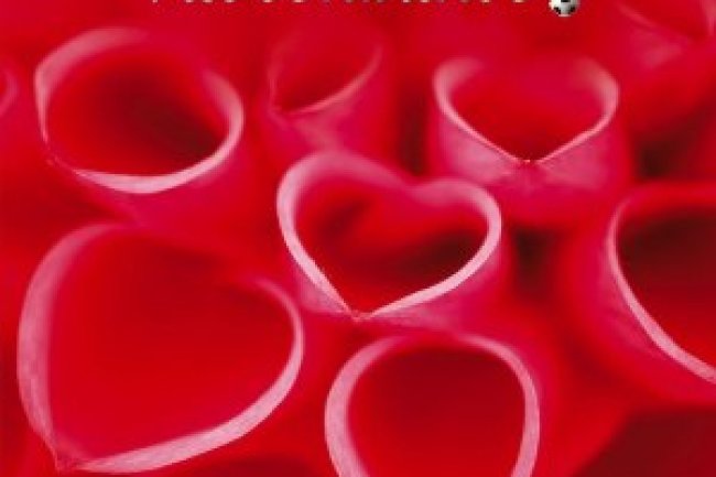 Vai Sonhando! - Megan Maxwell