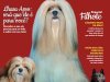 Cães & Cia - Abril/Mai 2024