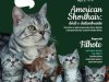 Pulo do Gato - Abr/Mai 2024
