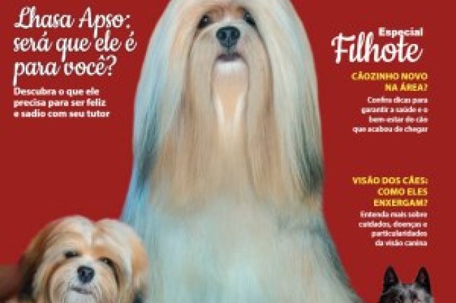 Cães & Cia - Abril/Mai 2024