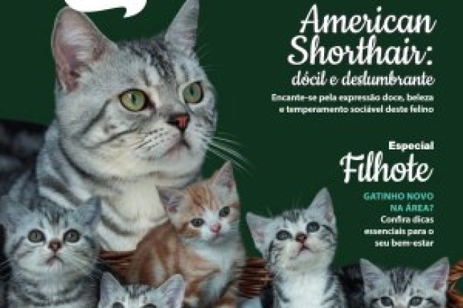 Pulo do Gato - Abr/Mai 2024