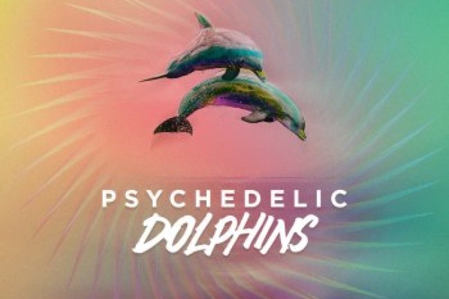 Cenit85 - Psychedelic Dolphins (2023)