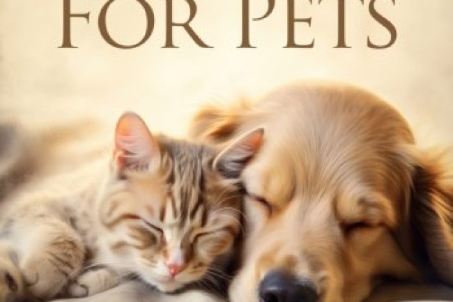 Calming Classical Music For Pets (2024)