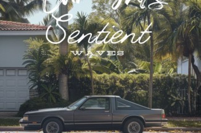 CARLIGHTS - Sentient Waves (2024)