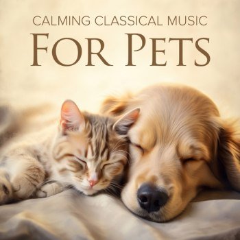 Calming Classical Music For Pets (2024)