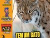 Recreio Ed. 1125 - Junho 2024